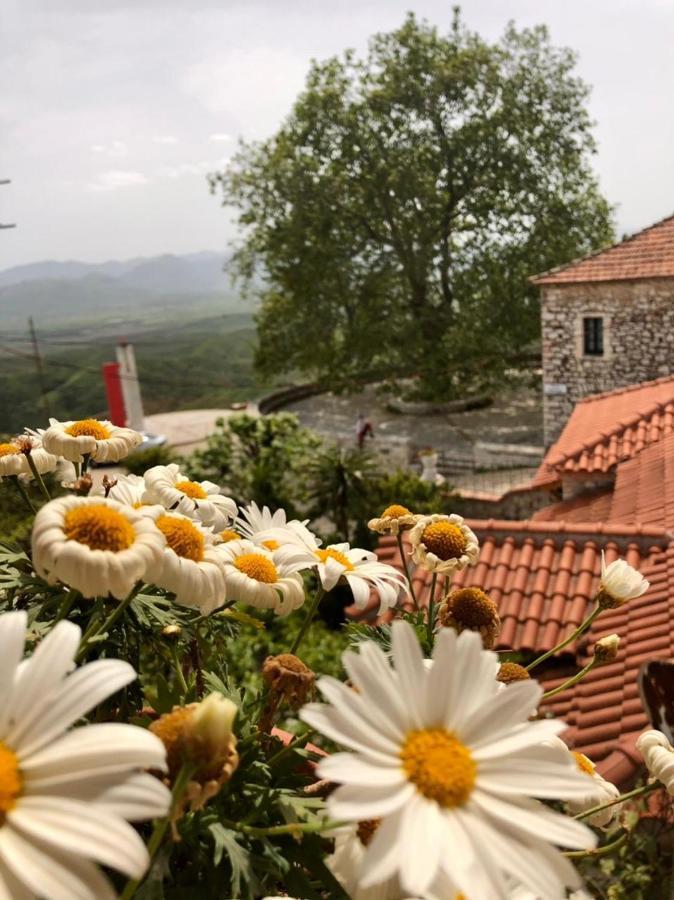 Villa Muzhaqi Nivice Luaran gambar