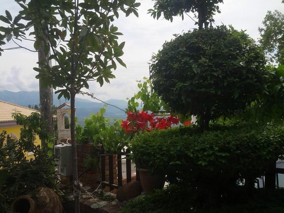 Villa Muzhaqi Nivice Luaran gambar